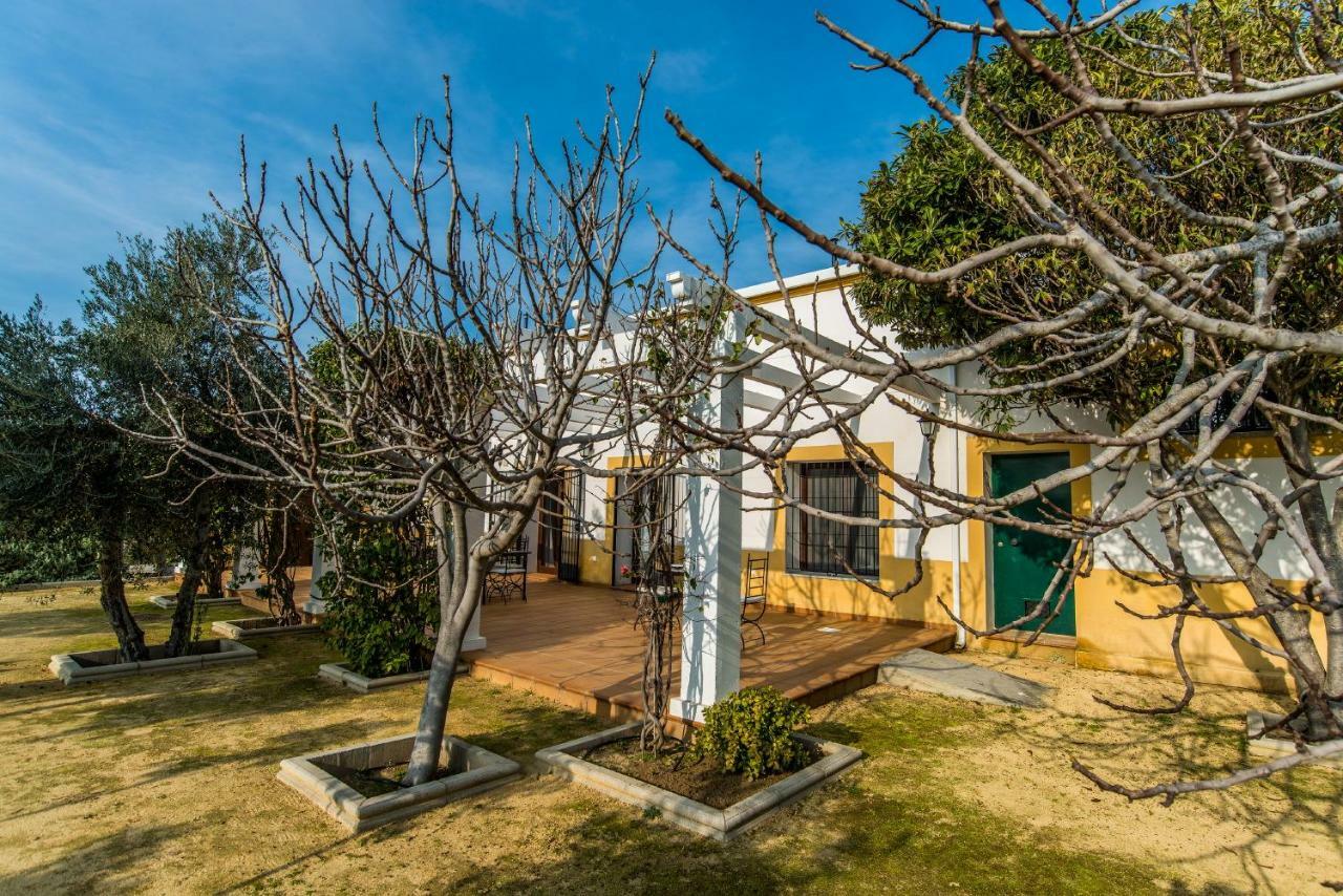 Vivienda Rural Olivar De San Telmo Arcos de la Frontera Exteriér fotografie