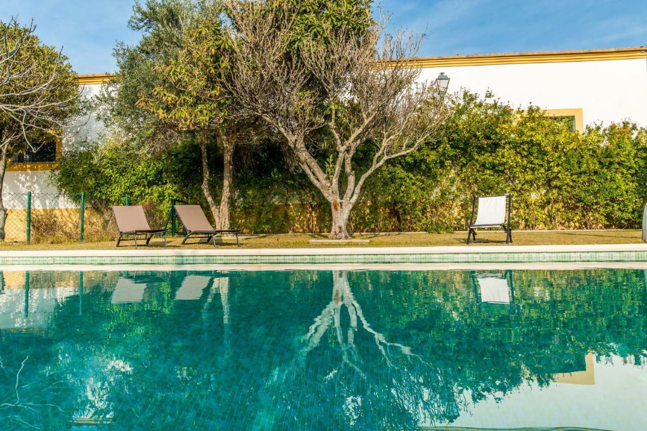 Vivienda Rural Olivar De San Telmo Arcos de la Frontera Exteriér fotografie