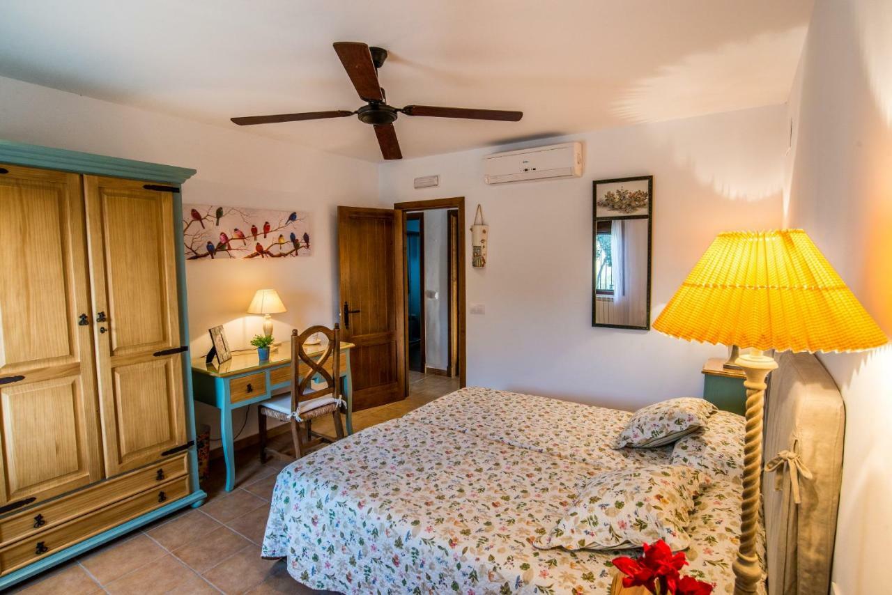 Vivienda Rural Olivar De San Telmo Arcos de la Frontera Exteriér fotografie