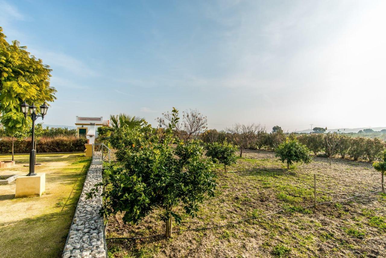 Vivienda Rural Olivar De San Telmo Arcos de la Frontera Exteriér fotografie