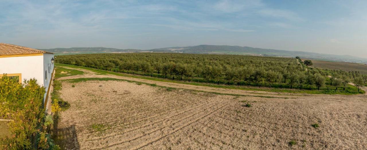 Vivienda Rural Olivar De San Telmo Arcos de la Frontera Exteriér fotografie