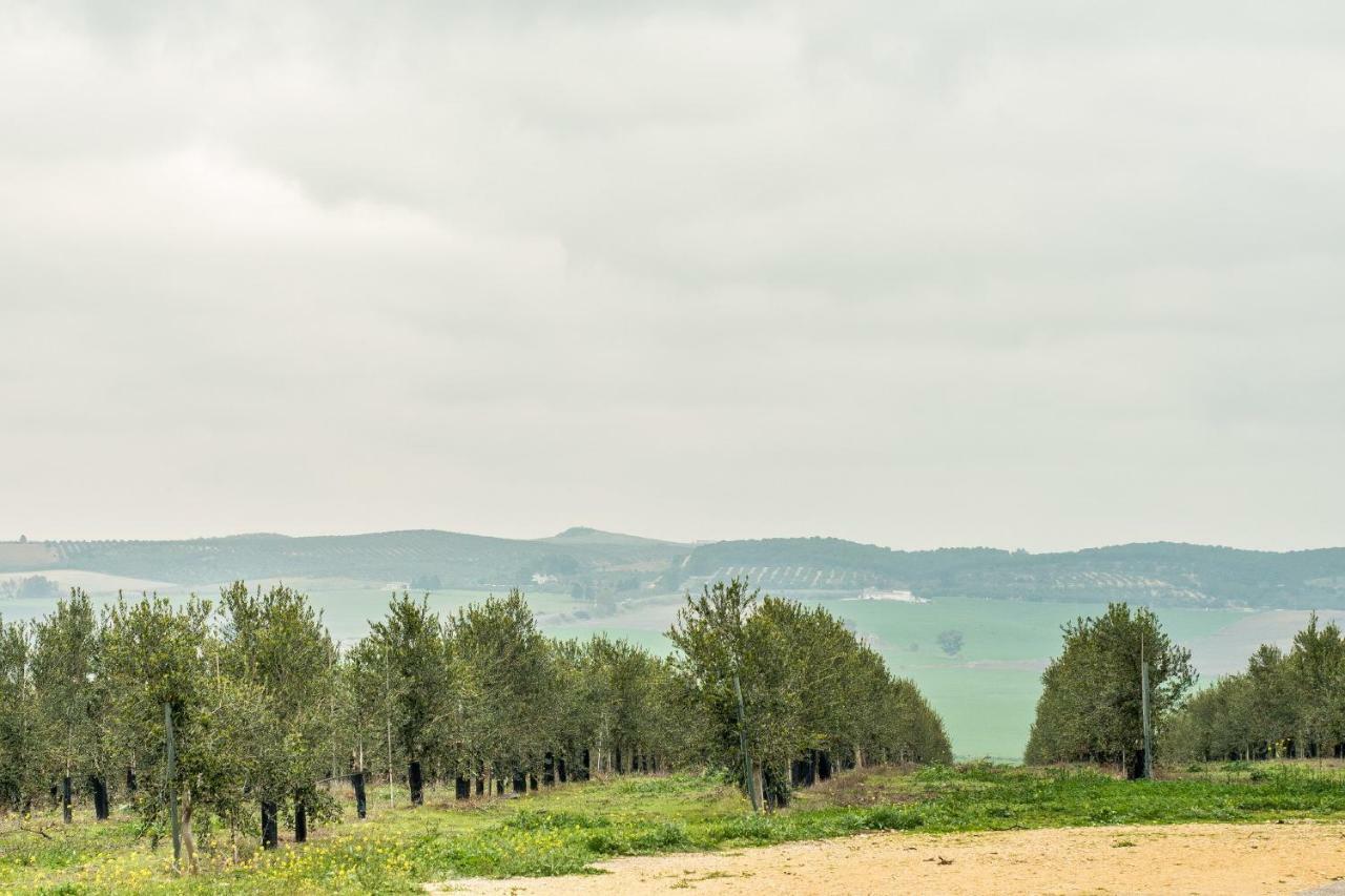 Vivienda Rural Olivar De San Telmo Arcos de la Frontera Exteriér fotografie