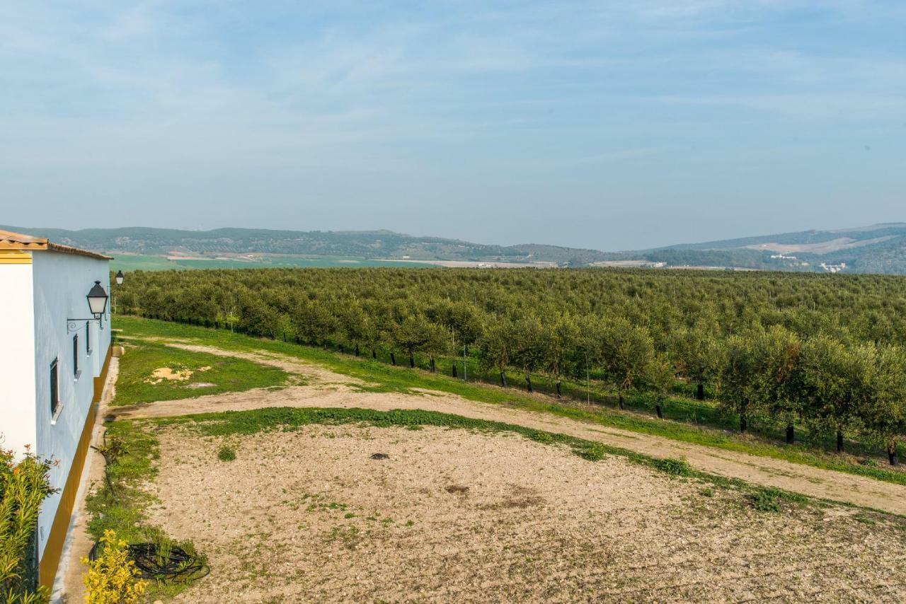 Vivienda Rural Olivar De San Telmo Arcos de la Frontera Exteriér fotografie