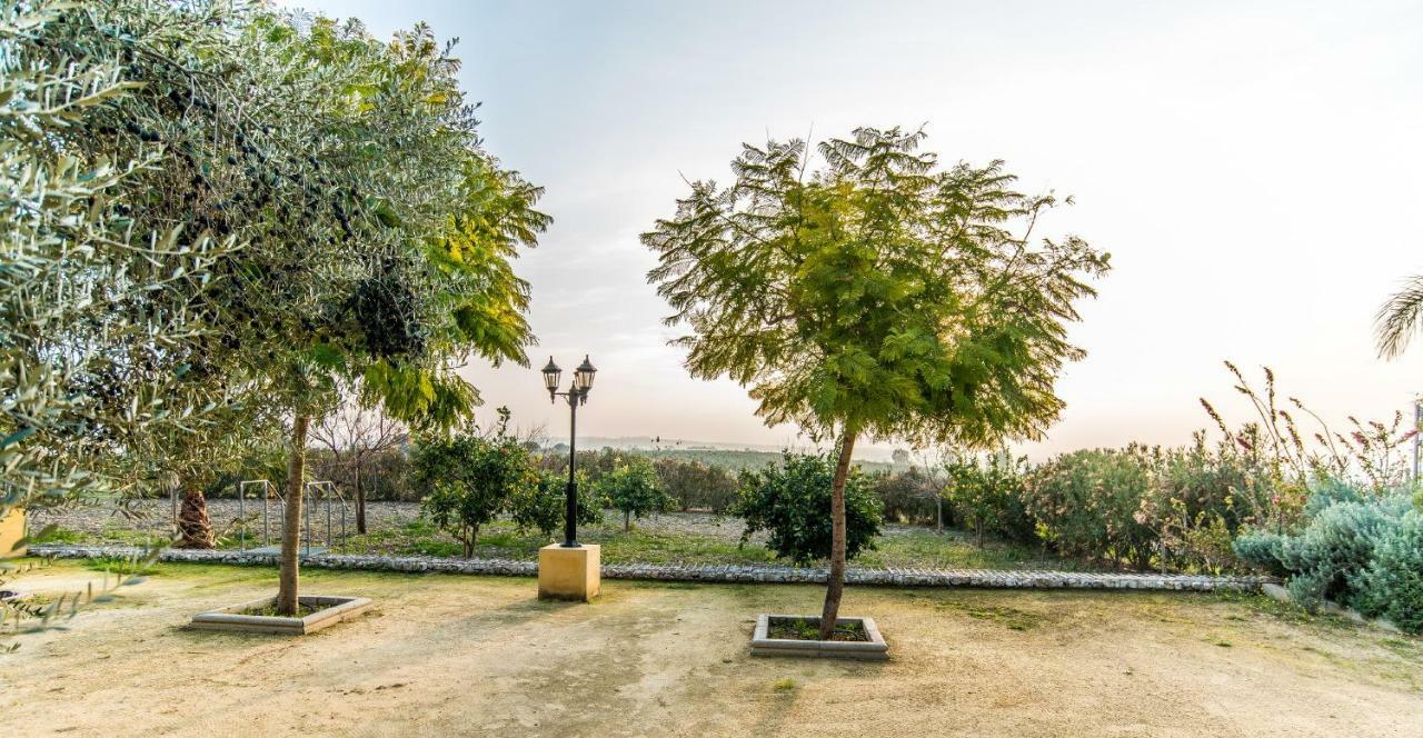 Vivienda Rural Olivar De San Telmo Arcos de la Frontera Exteriér fotografie